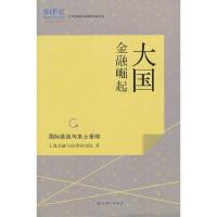 大国金融崛起:国际挑战与本土策略 上海金融与法律研究院 9787542643124