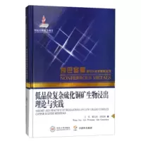 低品位复杂硫化铜矿生物浸出理论与实践 王军,覃文庆,邱冠周 9787548721635