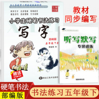 笔墨先锋 小学生硬笔书法练习 写字 五年级下册部编版随书听写默写本小学5年级下册 同步书写字帖书