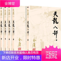 金庸作品集(朗声旧版)金庸全集(21-25)-天龙八部(全五册) [正版图书,放心购买]
