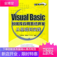 Visual Basic数据库应用系统开发从基础到实践 从基础到实践丛书 王红 ;;张丽华