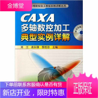 工程软件多轴数控加工典型实例详解丛书 CAXA多轴数控加工典型实例详解