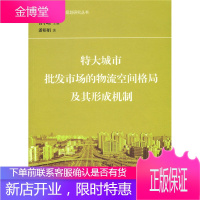 特大城市批发市场的物流空间格局及其形成机制 交通地理与空间规划研究丛书