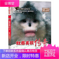 探秘大自然丛书我们爱科学精品科普书系 红唇美猴传奇 赵序茅 李明 中国少年儿童