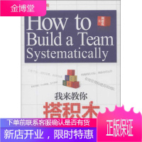 我来教你搭积木 500强企业的团队系统化构建之道 韩增海 著 北京大学出版社