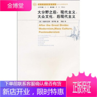 大分野之后:现代主义、大众文化、后现代主义 [正版图书,放心购买]