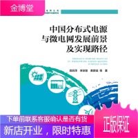 中国分布式电源与微电网发展前景及实现路径 [正版图书,放心购买]