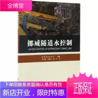挪威隧道水控制 挪威隧道协会 编著;周书明,杨秀仁,贺宁 译 交通运输