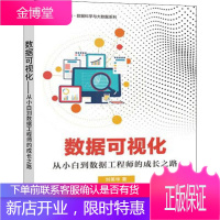 数据可视化 从小白到数据工程师的成长之路 刘英华 著 大中专理科电工电子