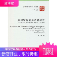 农村家庭能源消费研究——基于山西省阳泉市林里村入户调研 王谋 著 经济理论、法规