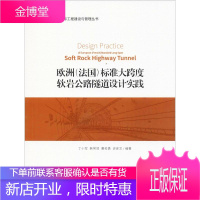 欧洲(法国)标准大跨度软岩公路隧道设计实践 丁小军 等 著 交通运输