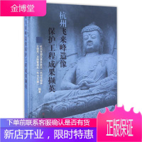 杭州飞来峰造像保护工程成果撷英 杭州市园林文物局灵隐 著作 美术理论