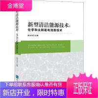 新型清洁能源技术:化学和太阳能电池新技术 陈玉华 主编 著 陈玉华 编 能源科学