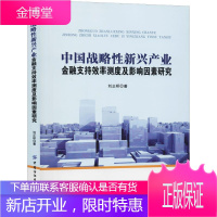 中国战略性新兴产业金融支持效率测度及影响因素研究 刘正桥 著 财政金融