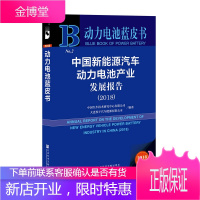 中国新能源汽车动力电池产业发展报告2018 中国汽车技术研究中心有限公司 大连