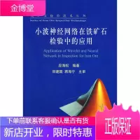 小波神经网络在铁矿石检验中的应用\\\\应海松 铁矿石检验技术丛书 应海松 编著