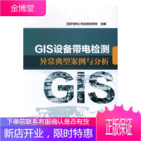 GIS设备带电检测异常典型案例与分析工业技术特高频局部放电带电测量案例null 图书