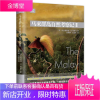 远行译丛:马来群岛自然考察记II(精装) 旅游/地图 游记作品集英国近代 null 图书