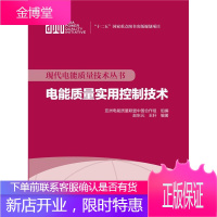 现代电能质量技术丛书 电能质量实用控制技术 工业技术 电能质量控制 null 图书