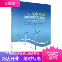 风电系统故障诊断与容错控制 工业技术 风力发电系统故障诊断 null 图书