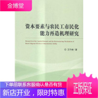 资本要素与农民工市民化能力再造机理研究 经济 民工城市化研究中国 null 图书