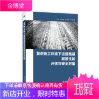 复杂施工环境下运营路基服役性能评估与对策 工业技术 null null 图书