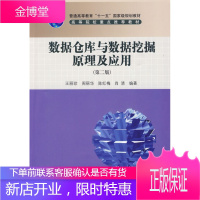 保证正版 数据仓库与数据挖掘原理及应用(第二版) 王丽珍 科学出版社 9787030254009