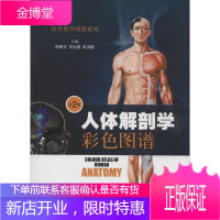 人体解剖学彩色图谱 上海科学技术出版社 无 著作 柏树令 等 主编 外科