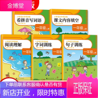 小学语文专项训练 1年级 上册(全5册) 河南大学出版社 桃乐工作室 编 小学常备综合