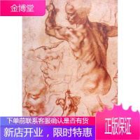 世界素描大系—米开朗基罗 吴宪生,吴冠华 编著 山东美术出版社 9787533029319