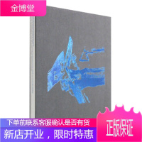 今日中国艺术家·林学明：触山 林学明 著 四川美术出版社 9787541067198