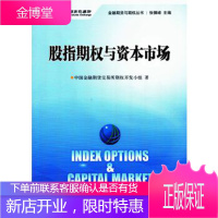 股指期权与资本市场 中国金融期货交易所期权开发小组 中国财政经济出版社一 9787509563519