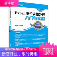 Excel电子表格处理入门与实战 配光盘 入门与实战 高娟妮　编著 9787302376668 清华