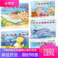 海洋宝贝系列故事(全5册) 童书 安宏,邹国华文 海洋出版社 9787521002041