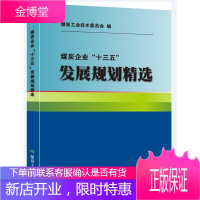 煤炭企业“十三五”发展规划 管理 煤炭工业技术委员会 煤炭工业出版社 9787502065522