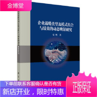 正版 企业战略类型及模式组合与绩效的动态映射研究 雷辉 9787030595423 科学出版社