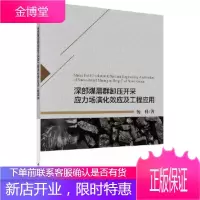 正版 深部煤层群卸压开采应力场演化效应及工程应用 杨科 9787030577375 科学出版社