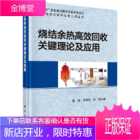 正版 烧结余热高效回收关键理论及应用 董辉,冯军胜,张晟 9787030568250 科学出版社