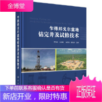正版 乍得邦戈尔盆地钻完井及试修技术 罗淮东 等 9787030563910 科学出版社