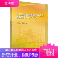 正版 电力系统振荡稳定性模式耦合分析理论与应用 杜文娟,王海风 9787030581129 科学出版