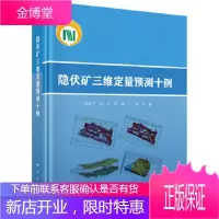 正版 隐伏矿三维定量预测十例 陈建平等 9787030628824 科学出版社