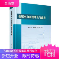 正版 低碳电力系统理论与应用 康重庆,陈启鑫,夏清 9787030607003 科学出版社