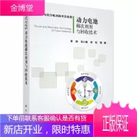 正版 动力电池梯次利用与回收技术 李丽著 9787030591180 科学出版社