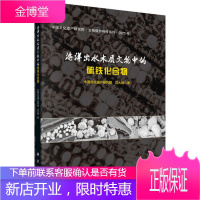 正版 海洋出水木质文物中的硫铁化合物 沈大娲 9787030658654 科学出版社