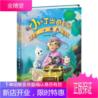 小叮当奇幻国全集 精装儿童绘本 儿童文学 儿童读物 小叮当奇幻国小滑头 少儿文学读物 老师课外阅