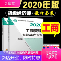 赠题库 2020年初级经济师教材套装2本 初级经济基础+工商管理专业与实务 2020年初级经济师考试