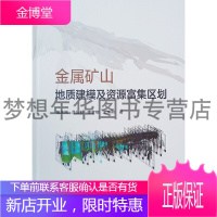 金属矿山地质建模及资源富集区划