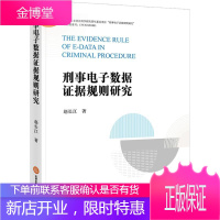 刑事电子数据证据规则研究