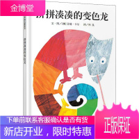 拼拼凑凑的变色龙 明天出版社 (美)艾瑞·卡尔(Eric Carle) 著 林良 译 智力开发