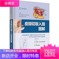皮瓣切取入路图解 上海科学技术出版社